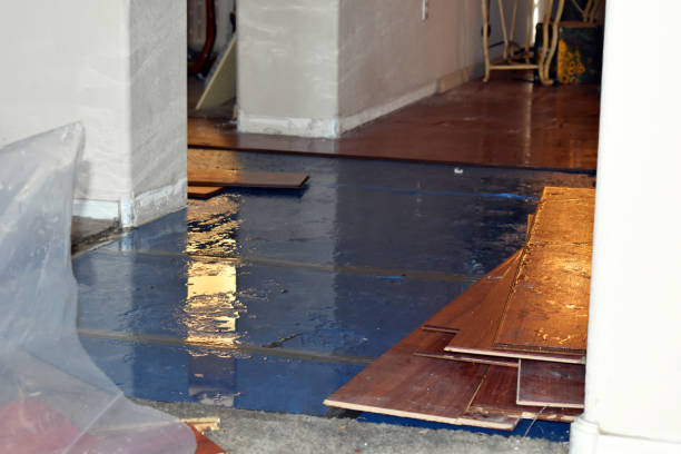 Professional Flood Cleanup technician working in Riverdale, MI