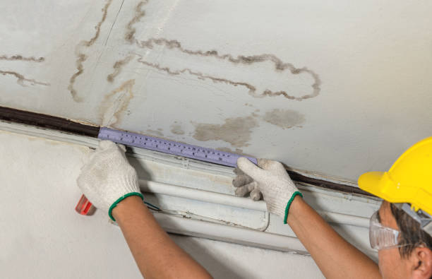Reliable Flood Cleanup contractor in Riverdale, MI by Water Damage Irwin